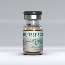 Test E